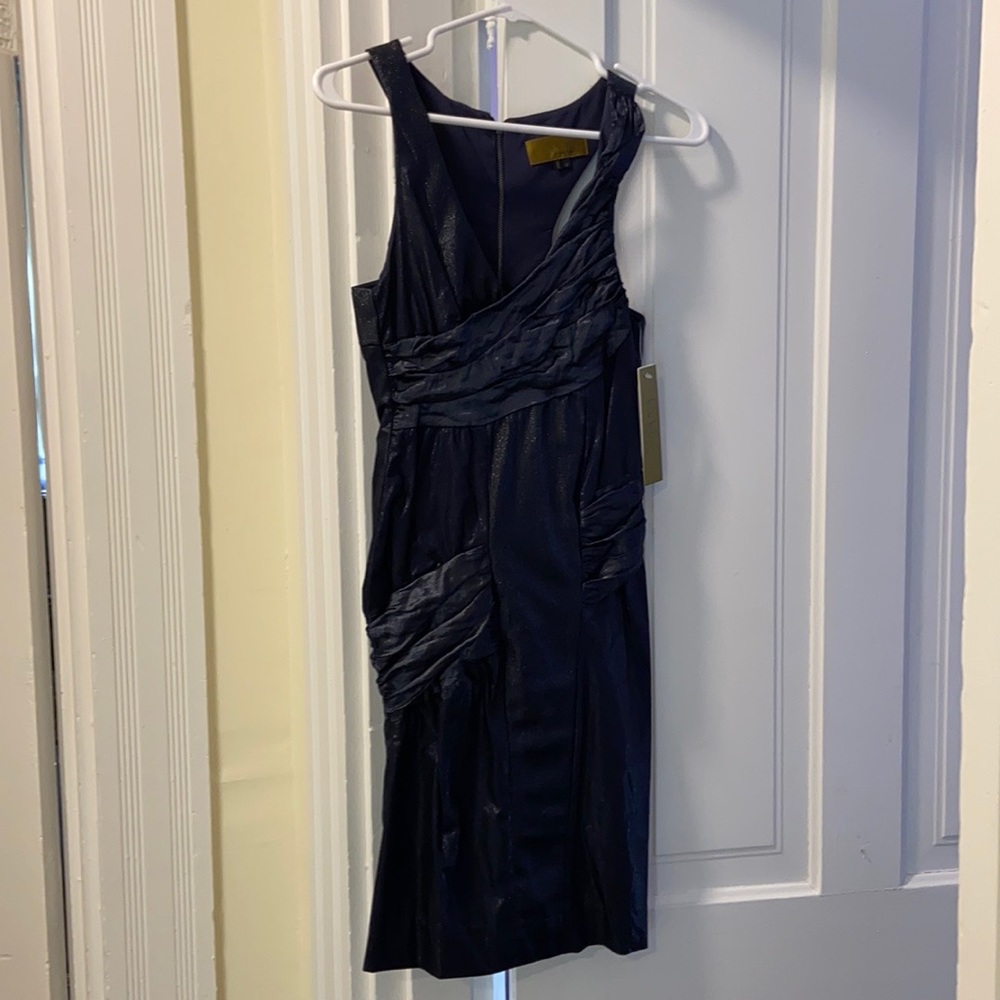 Nicole miller cocktail dress can
